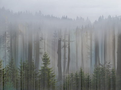Фотообои Foresta 10, FORESTA, Wall street Фотообои Foresta 10, FORESTA, Wall street