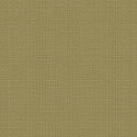 W05 50402