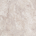 PL51036-22