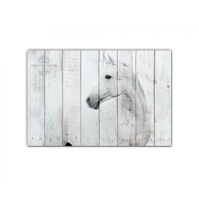 Картины ZOO - 13 Белая лошадь, ZOO, Creative Wood Картины ZOO - 13 Белая лошадь, ZOO, Creative Wood
