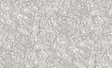 Bruno Zoff Platinum 60102-4