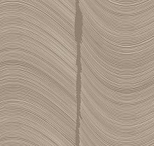 Loymina Equilibre BR4 002/2