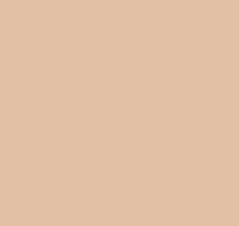 Однотонные бежевые обои (фон) Loymina Materials Lotus Universe LOT2, 207