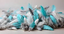 Бирюзовые 3D обои Design Studio 3D Feathers AG-FT-083