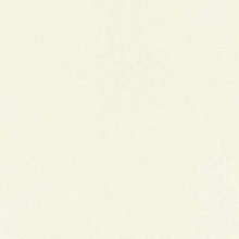Rasch Poetry 424034