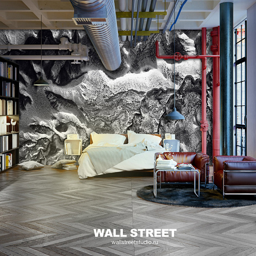 Фотообои в интерьере артикул Bird see 20, BIRD SEE, Wall street